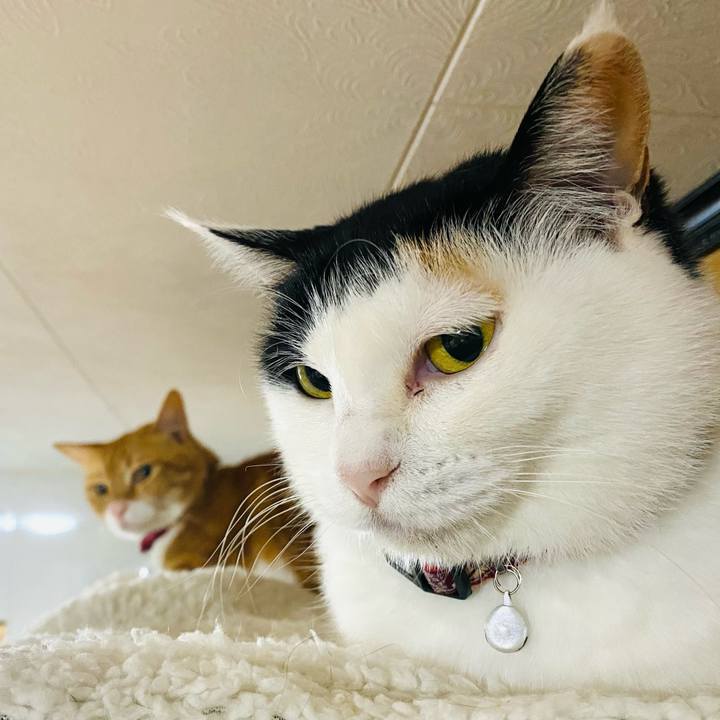 Bd7fe534 fad3 4ace 8c1b 5b4f754913a9 1682115435129