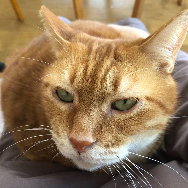 Bd7fea8e 1b68 43e2 8a7c 763ad876fe95 1706413545904