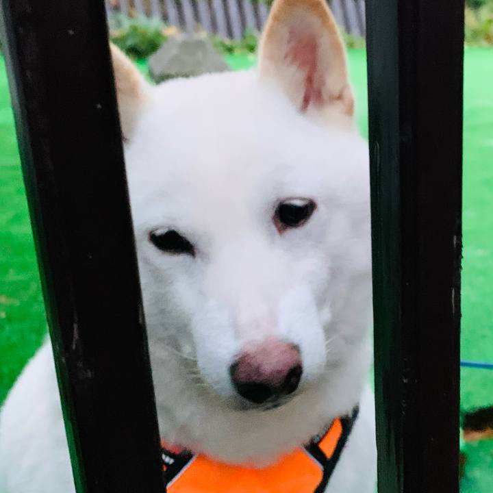 Bd7fff19 7f27 4417 9ee0 b8cd83403d24 1635752462867