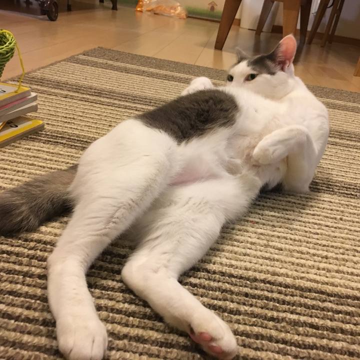 Bd804578 f4e1 4c2f 8696 a86995c7a81c 1526471326978