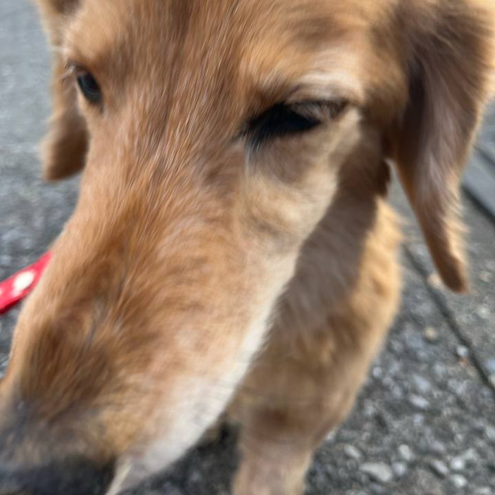 Bd804eeb ab74 4841 806c 6200c8c3846a 1646833979671