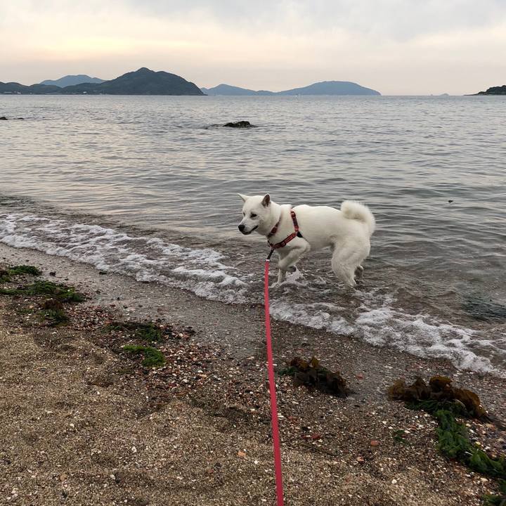 Bd805003 31eb 4836 97a1 1ad3c68bd119 1527414996079