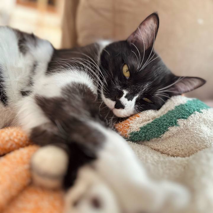 Bd80a3fe b53c 4b5a 9dff 5d557c4be29b 1767408196233