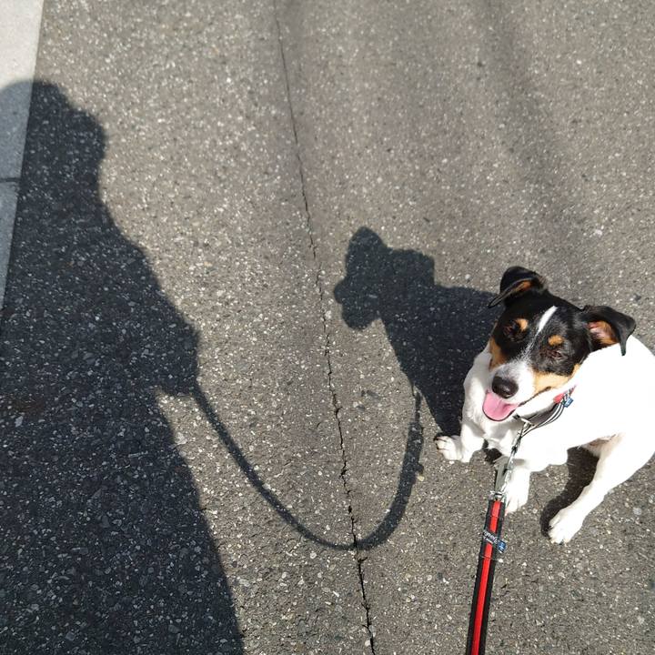 Bd80cef1 a15b 4ac2 bed9 70532d9b1219 1688867067458