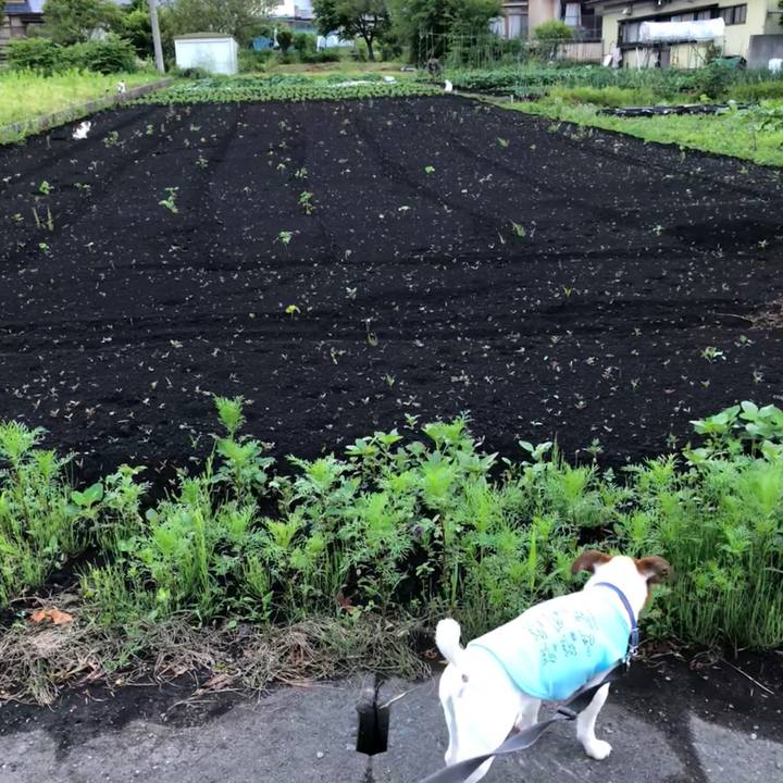 Bd80f404 6c6c 41ec a43a e3eedf53d062 1528802230022