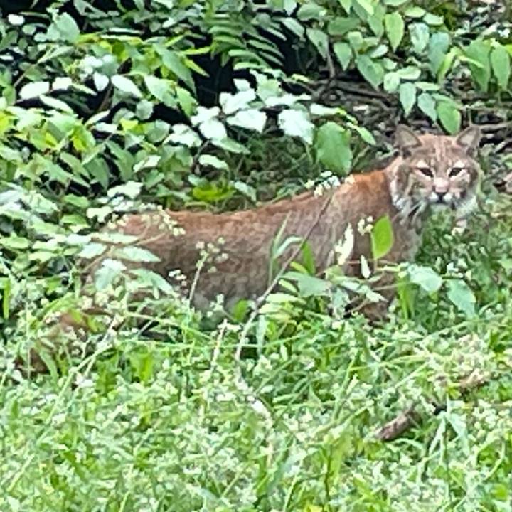 Bd8105de 29f8 4df9 bc9b d3c83966582c 1719025909883