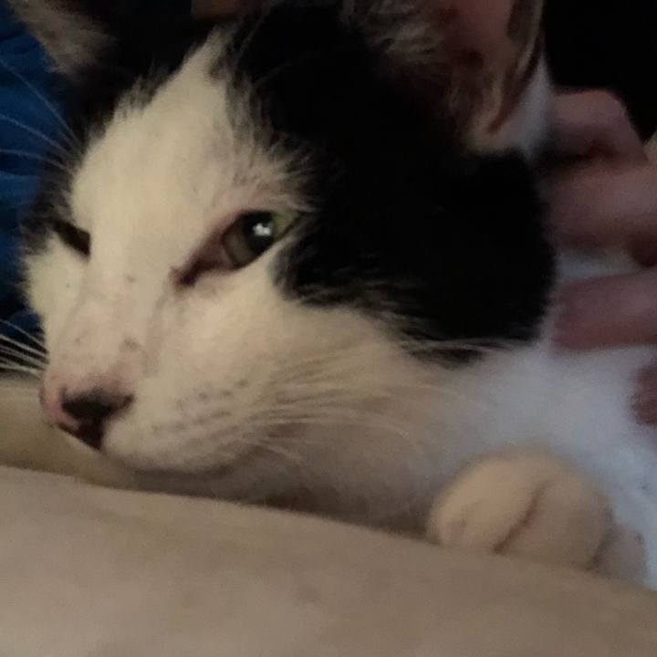 Bd811fdb f351 46f6 84ce e237008ee9d5 1558107447214