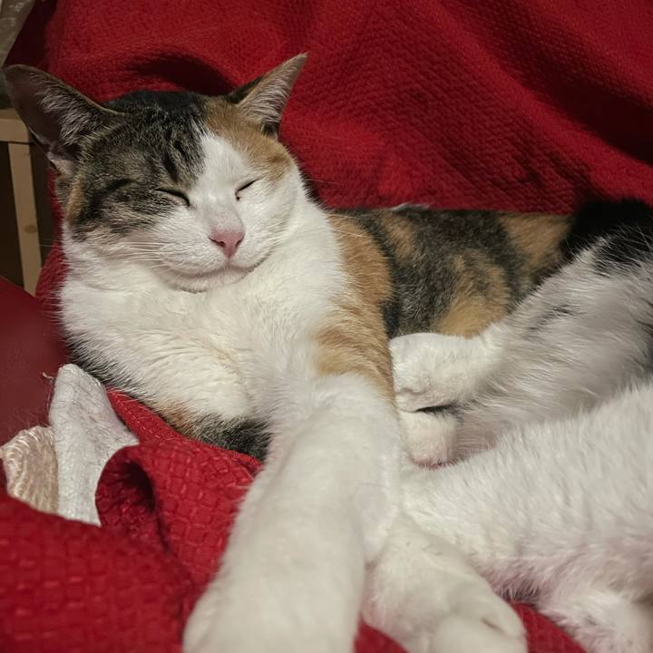 Bd812163 7b49 4c43 8193 43dff3d1ccd5 1619893345868