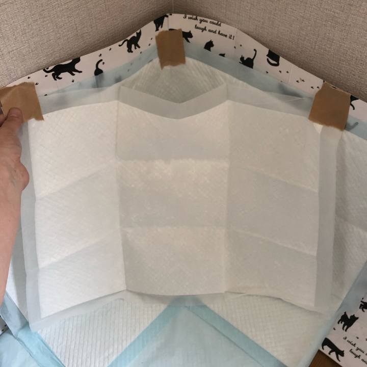 Bd8124ed d9fc 4fa4 a76d bdde12d7d3fc 1566613447878