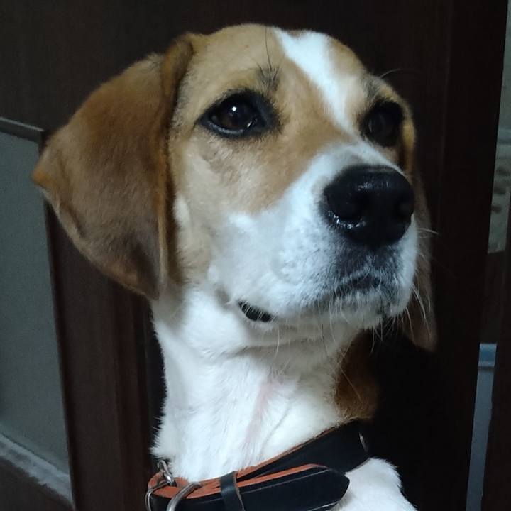 Bd813b7c a90f 4f74 a3f2 b3afccf791d1 1629705062961