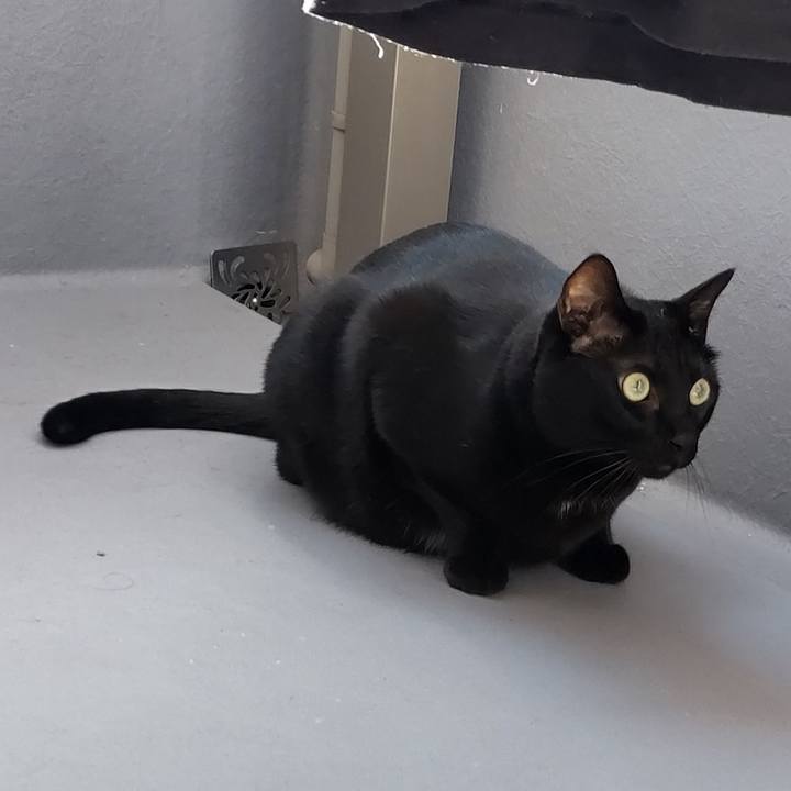 Bd81648b 23a6 40f5 8a0a 8f7e62def826 1667359971931