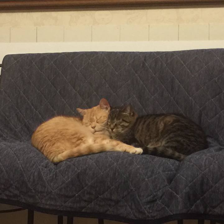 Bd816b10 36cb 429b 8fff 51464a70b831 1559492038930