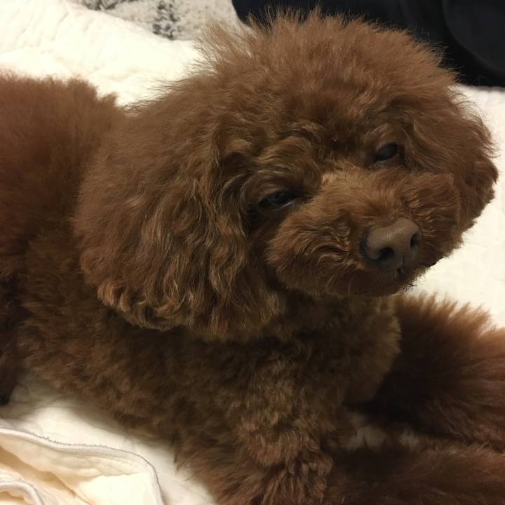 Bd8171cb 06bf 467f bdf6 b055b6c7bc13 1518950939520