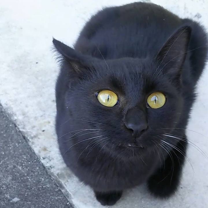 Bd817e59 3419 4209 bd1f ff5bc03fdcdf 1540355572015