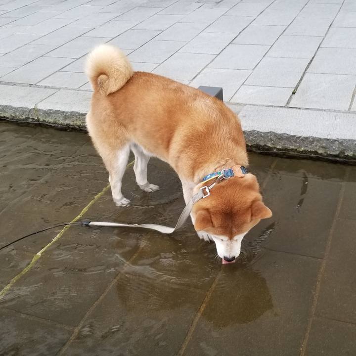 Bd81dd25 a2cd 4dcd 9c1f 70192e2fda30 1568449182146