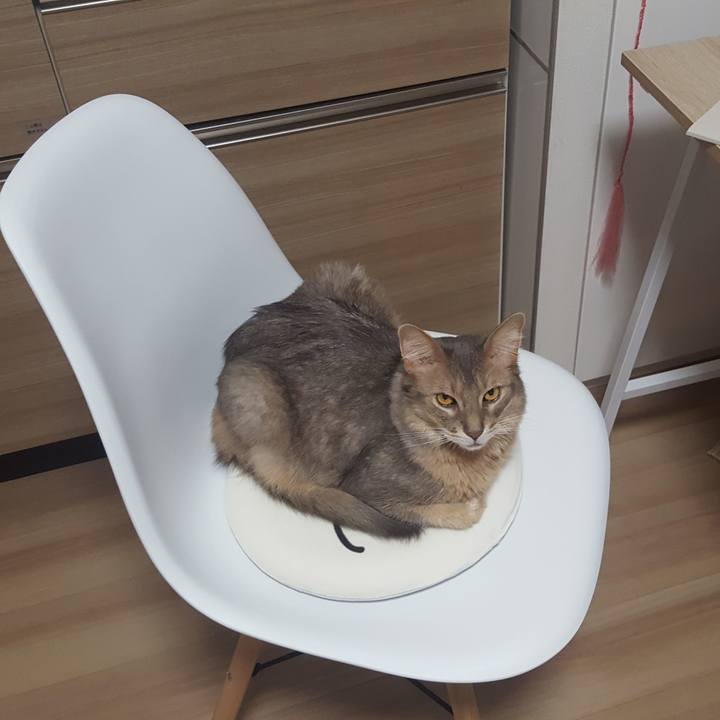 Bd821522 b392 4daa 981c 5384a1e32282 1592290830201