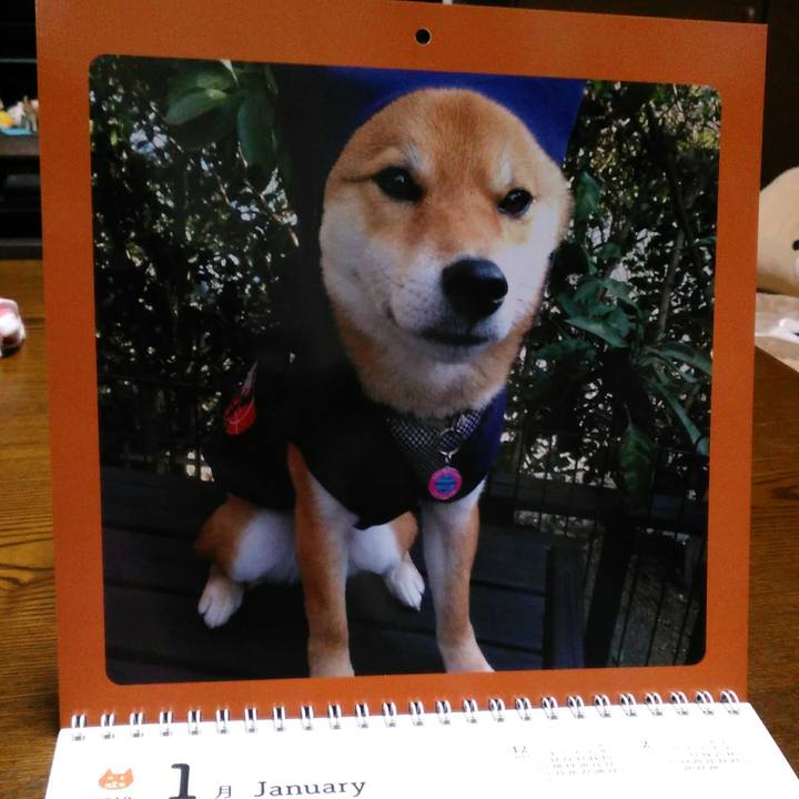 Bd8220fe 7102 4b75 8ee8 f900492ff8d1 1512702731777