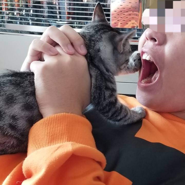 Bd823d4c 78db 49fd 8546 6f4597576ef6 1667534169590