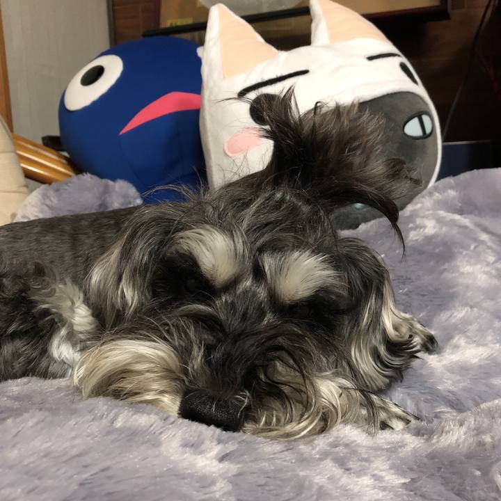 Bd825a95 1c17 4204 a811 1e60012afa8a 1525180557330