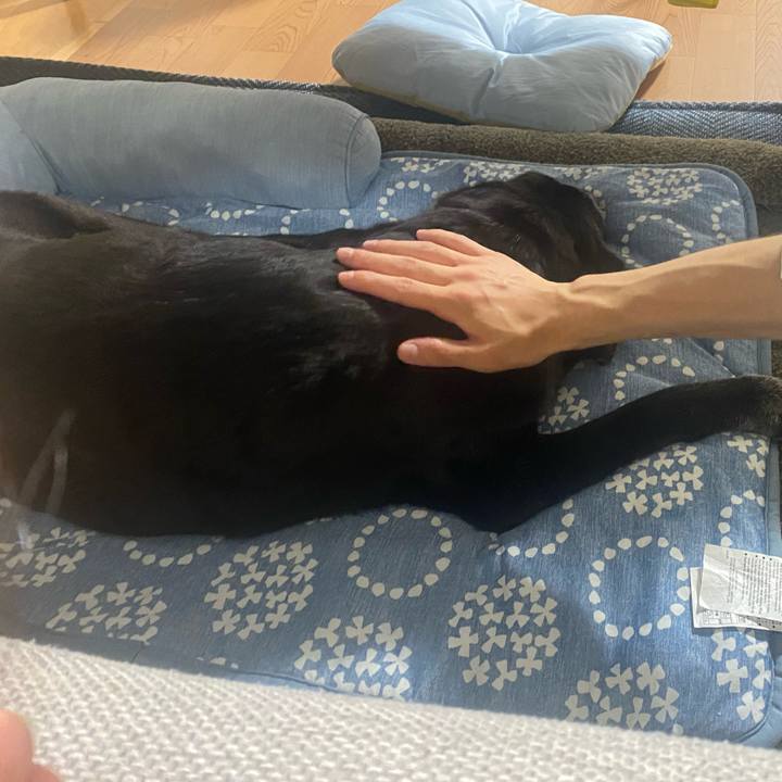 Bd827ddb 056c 4696 950d c298a75a3847 1751164412237