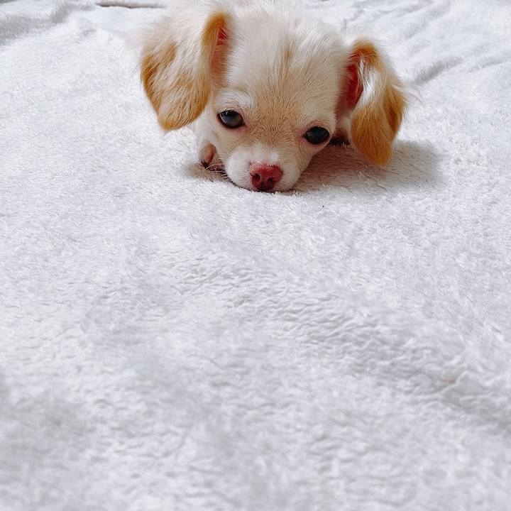 Bd827ef9 f66c 4d0f be3d 67e9a0f934ed 1591516456079