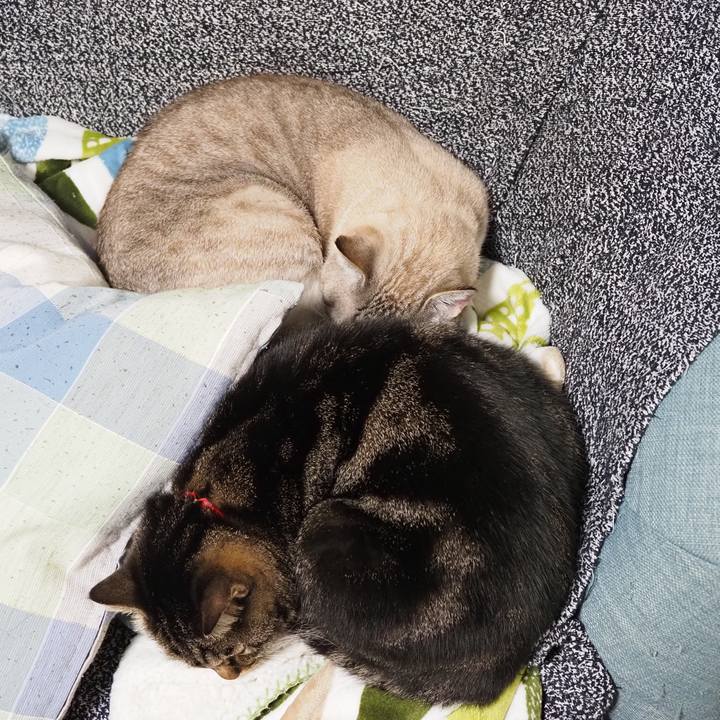 Bd82a06b b1bf 45eb 86b3 e72c9870c3ea 1605449973497