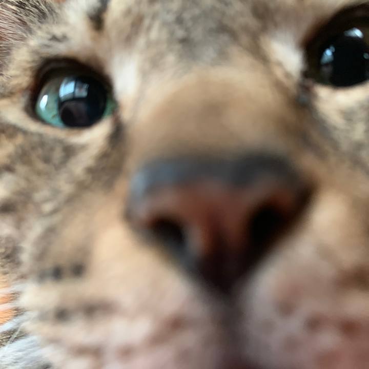 Bd82f58d 3a2d 4d86 aeed 7b3ce85734d1 1563583670934