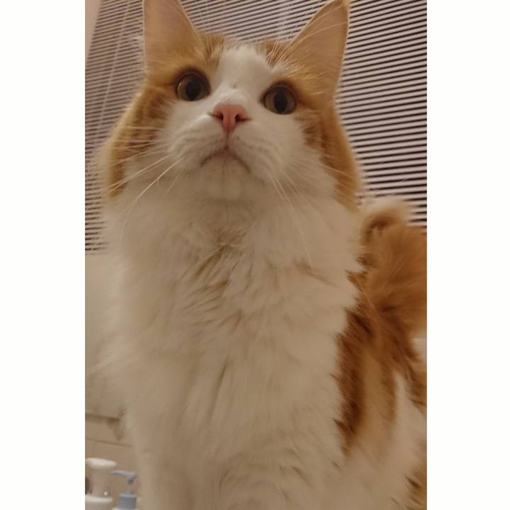 Bd830372 bfb9 4d05 881a c6b6e0727fb3 1545473857124