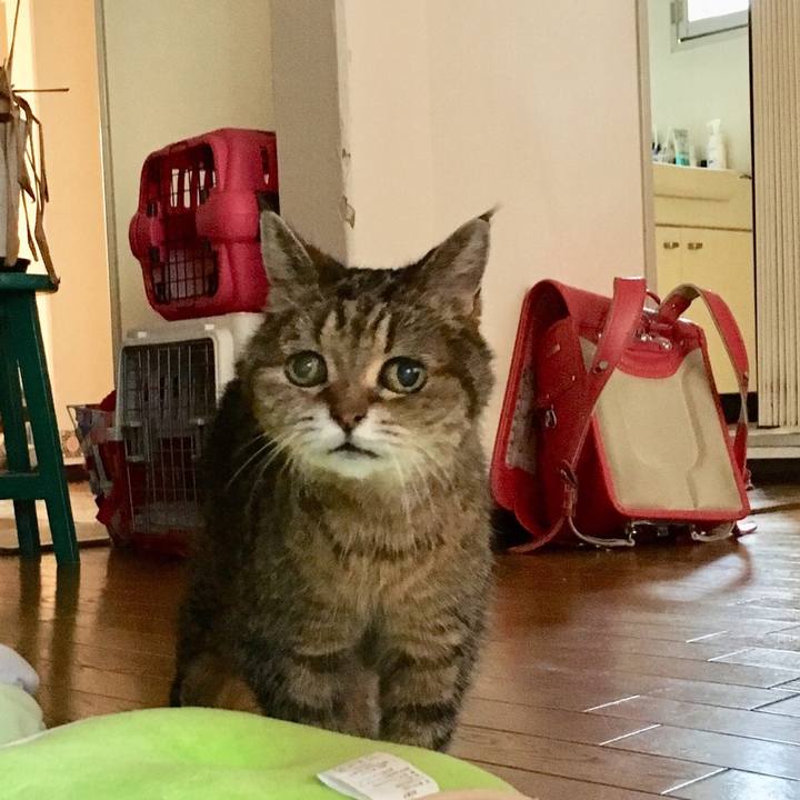 Bd832b30 f4aa 4a68 95ef 658c733268e8 1533852042929