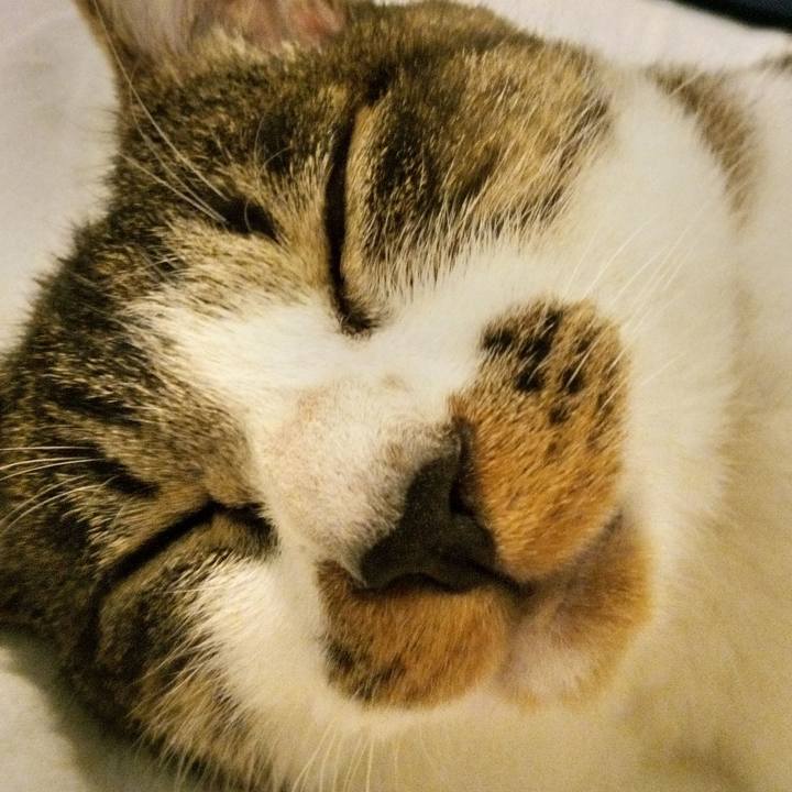 Bd8335fc 2c26 41ee 9e46 4c8ed7c38229 1756125323075