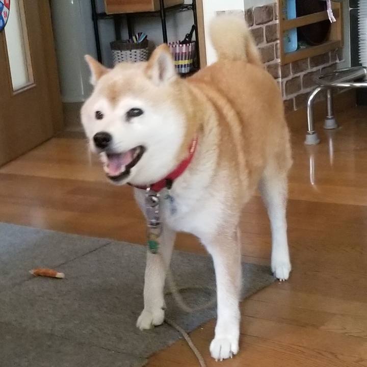 Bd839ec1 b8ed 41d0 8656 c9dfc82ac52a 1720057510101