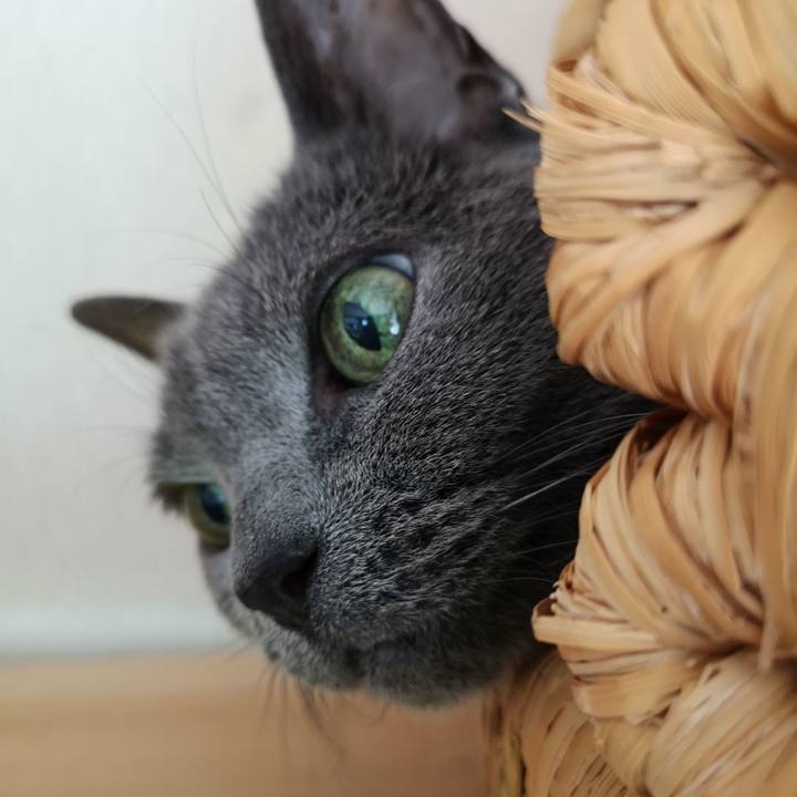 Bd83d7fb 2c3a 4e35 9a59 7f77217f7b68 1601690476926