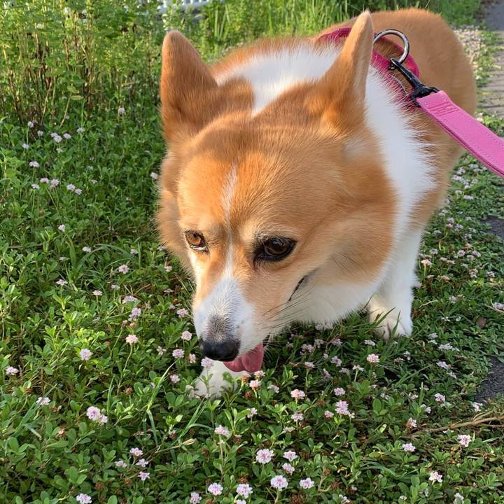 Bd842136 170c 4d87 9a56 f4b374935762 1628548134650