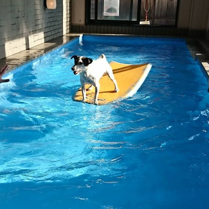 Bd8486c1 3051 4bfa 8148 29a43ef92e5f 1510726149990