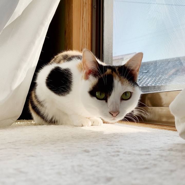 Bd849146 d4f3 4f3f a6b0 e72b92f23396 1543368170719