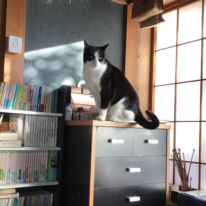 Bd849a62 109b 484d bcdf 6db9b1f91fb7 1733969351798