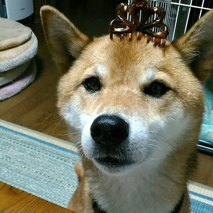 Bd84a07a 305d 455b 940c 2bb4c4bd5cdd 1566119089943