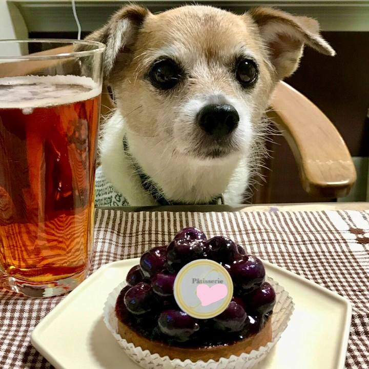 Bd84beed 392d 4667 bb9b 02902527a2ba 1656398406896