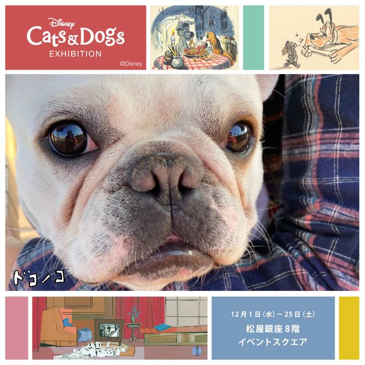 Bd84cae0 f165 4e13 807d 1405d97b99fd 1638350651832