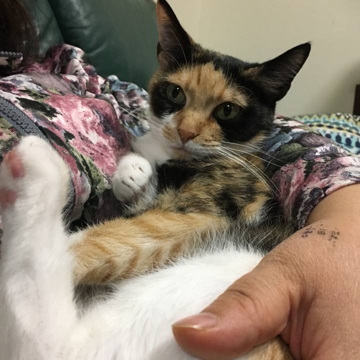 Bd84e729 c6fc 4fac b659 5077b7397bda 1509922292239