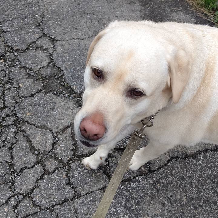 Bd84eca0 9331 42fe bf18 af8d21f52c0c 1655860568832