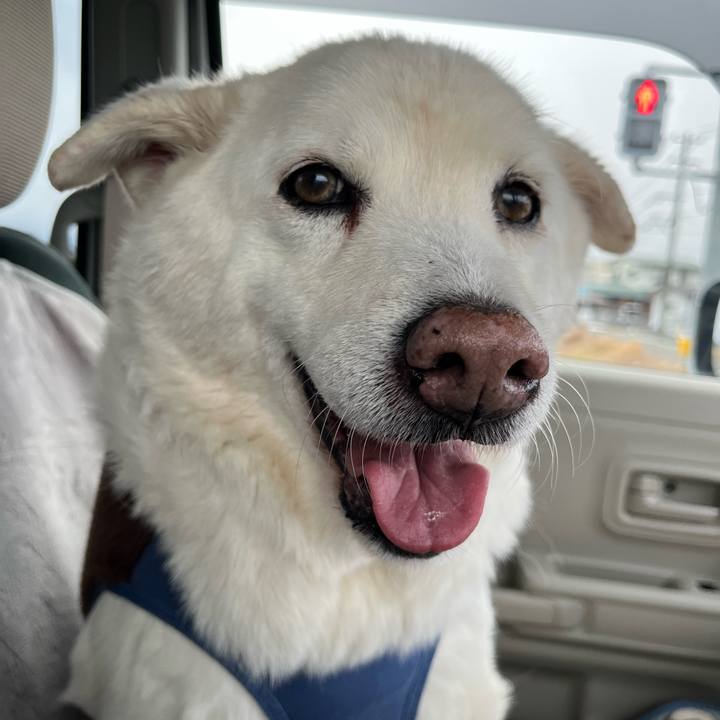 Bd84ee76 4981 4e76 86d5 f7b4093bb65d 1766014778452