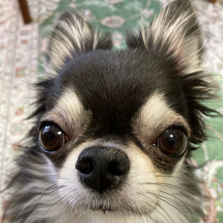 Bd84f428 cfee 4561 80e0 f75990485e2d 1656800455216