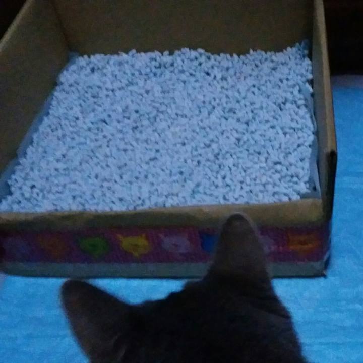 Bd84f617 e794 4da7 9844 199998e8c2d0 1539767287296