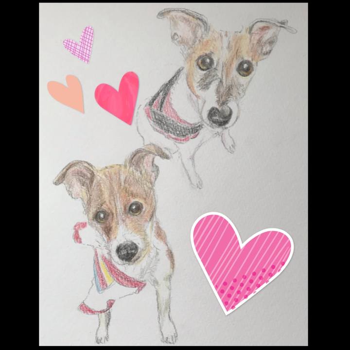 Bd8500b5 552b 405c b48d 79d90ce7bdd4 1581644595649