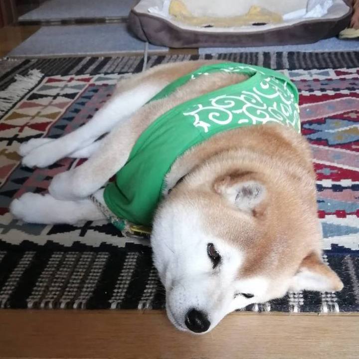 Bd8504b0 cb65 4a51 87bc 7d0768e7f30c 1587375489926