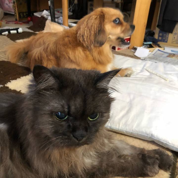 Bd85140b b7b8 473d a7b3 d781014d0b31 1530652303630