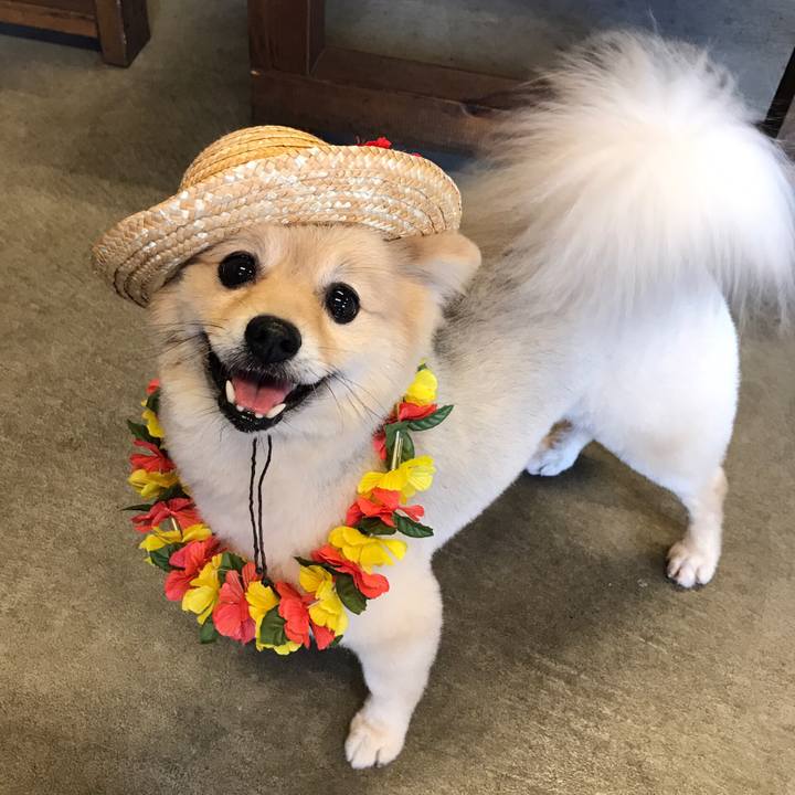 Bd8515de bded 4e27 9181 57f47e8a90a9 1573642684053