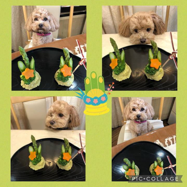 Bd851b3b 9c37 44e8 b187 5afa6ab0c6b1 1641037333470