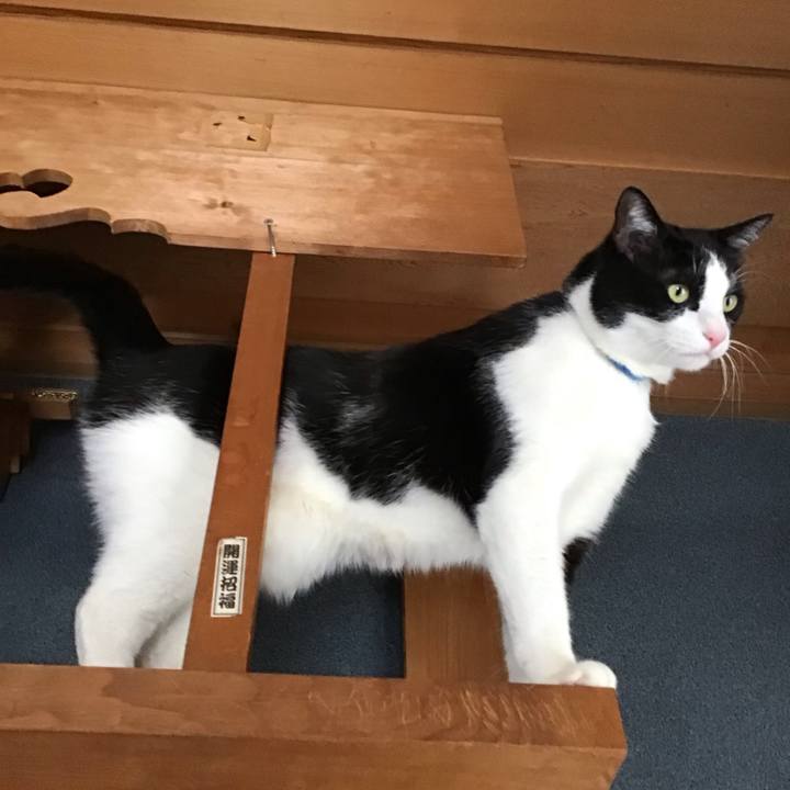 Bd856546 4291 4511 99df ccd7d649c0d8 1709554917946